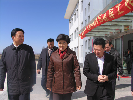 内蒙古乌兰察布市代市长陶淑菊一行来我公司考察调研