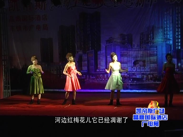 公司举办《缤纷圣诞欢乐新年》大型文艺晚会